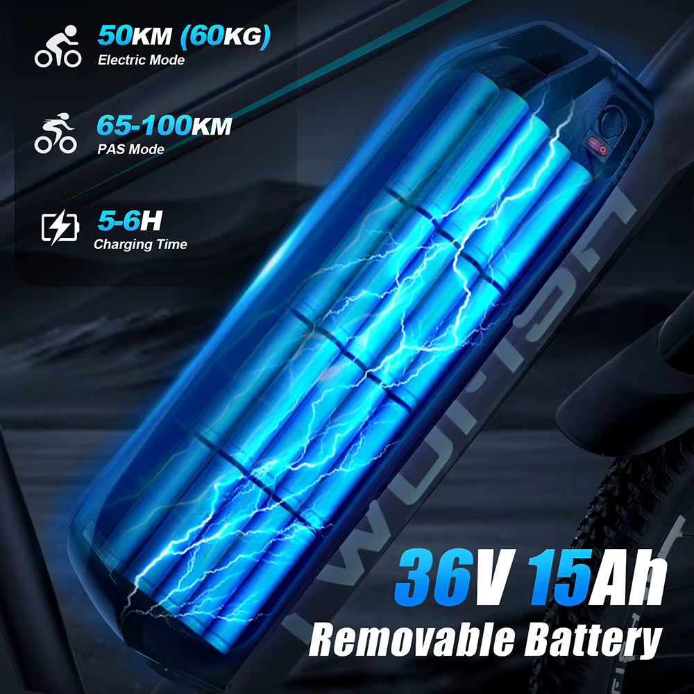TWOFISH TF-1 Electric Bike 36V 15Ah removable battery with electric bike mode details on a dark background