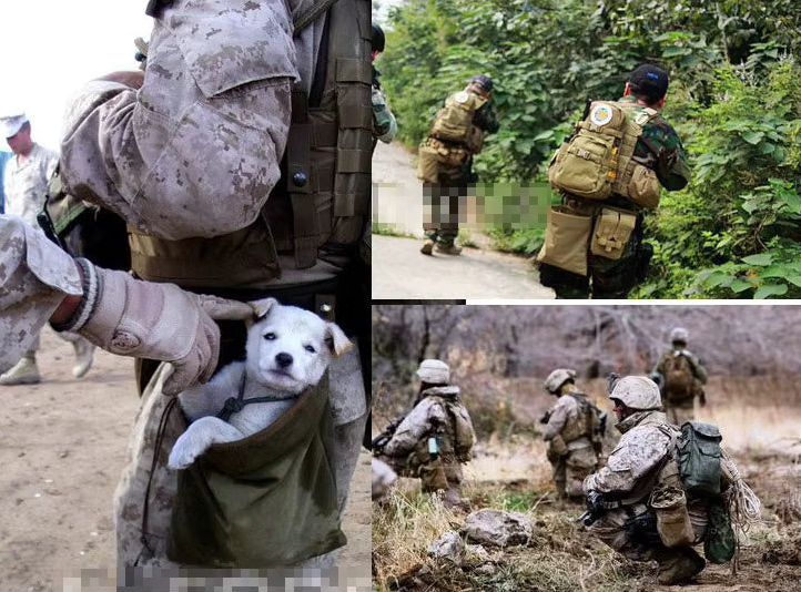 Tactical waist dump pouch in active field use during outdoor excavation work