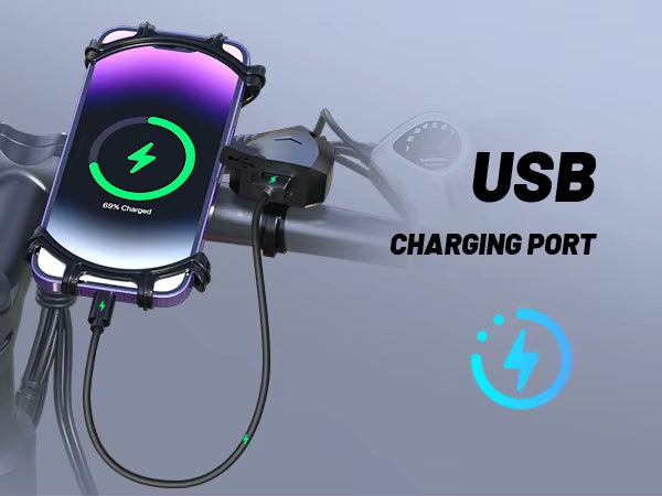 DUOTTS C29 Electric Bike Feature Graphic Highlighting Handlebar Phone Holder and USB Charging Port