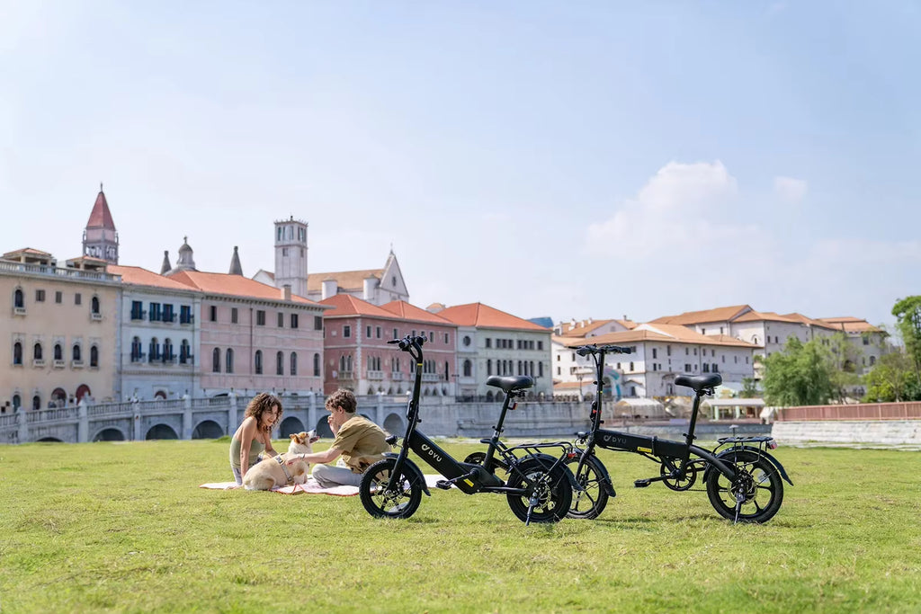 DYU C3 Folding Electric Bike 14 Inch 250W Motor 36V 7.5Ah Lightweight Commuter