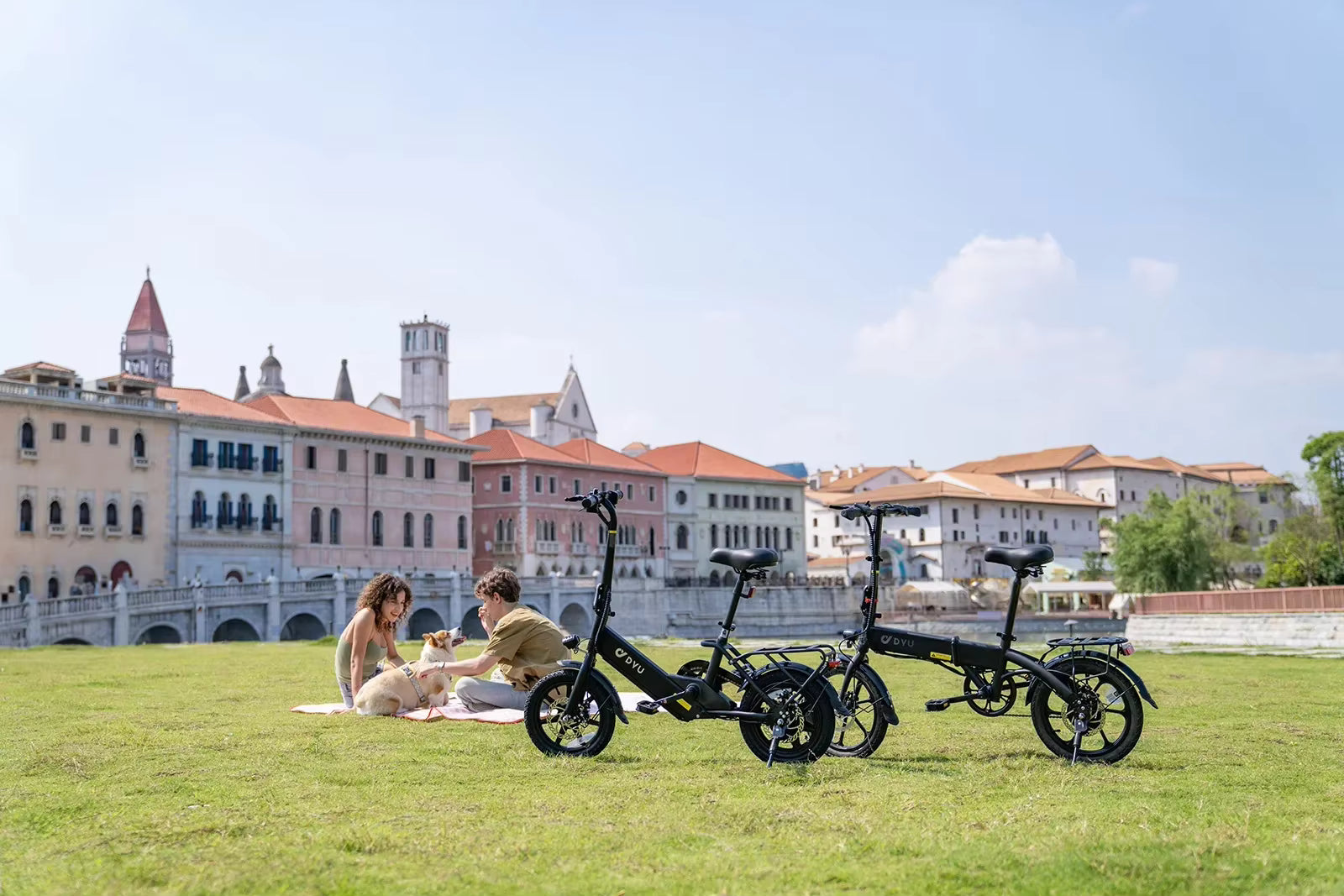 DYU C3 Folding Electric Bike 14 Inch 250W Motor 36V 7.5Ah Lightweight Commuter
