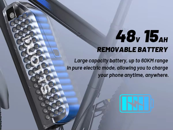 DUOTTS C29 Electric Bike Feature Graphic Highlighting 48V 15Ah Removable Battery Pack and Up to 60KM Pure Electric Range