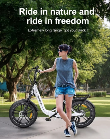 SAMEBIKE C05 PRO Electric Bike 500W 36V 13Ah 20 Inch Fat Tyre Folding E Bike