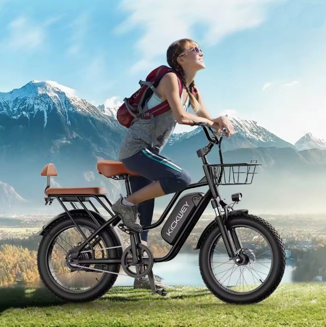 KICKWEY LD20 Electric Bike 250W 20 Inch Fat Tyre E‑Bike 48V20Ah Battery
