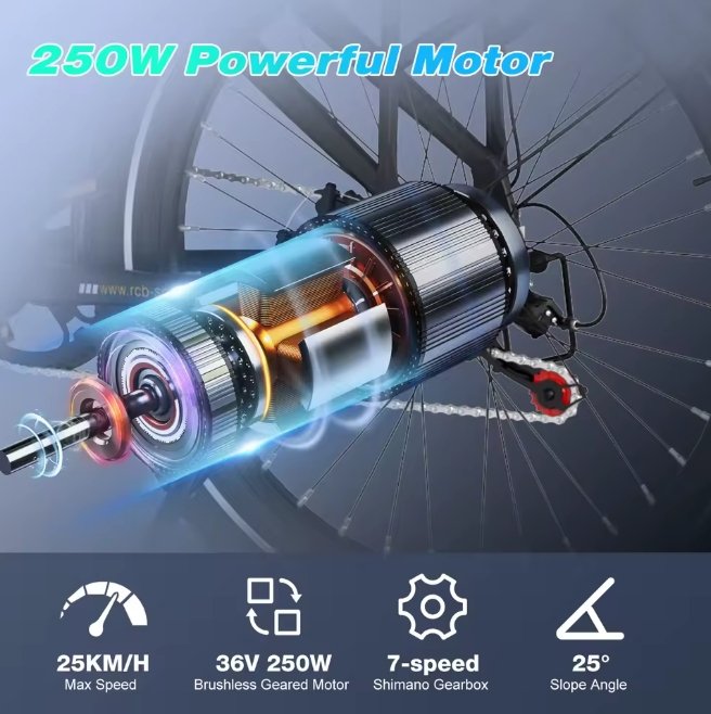 Technical cutaway view of the high-efficiency 250W brushless motor