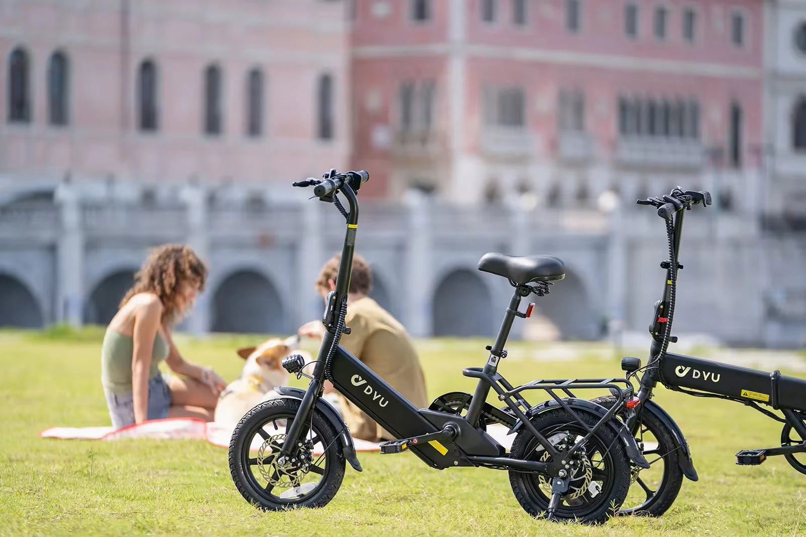 DYU C3 Folding Electric Bike 14 Inch 250W Motor 36V 7.5Ah Lightweight Commuter