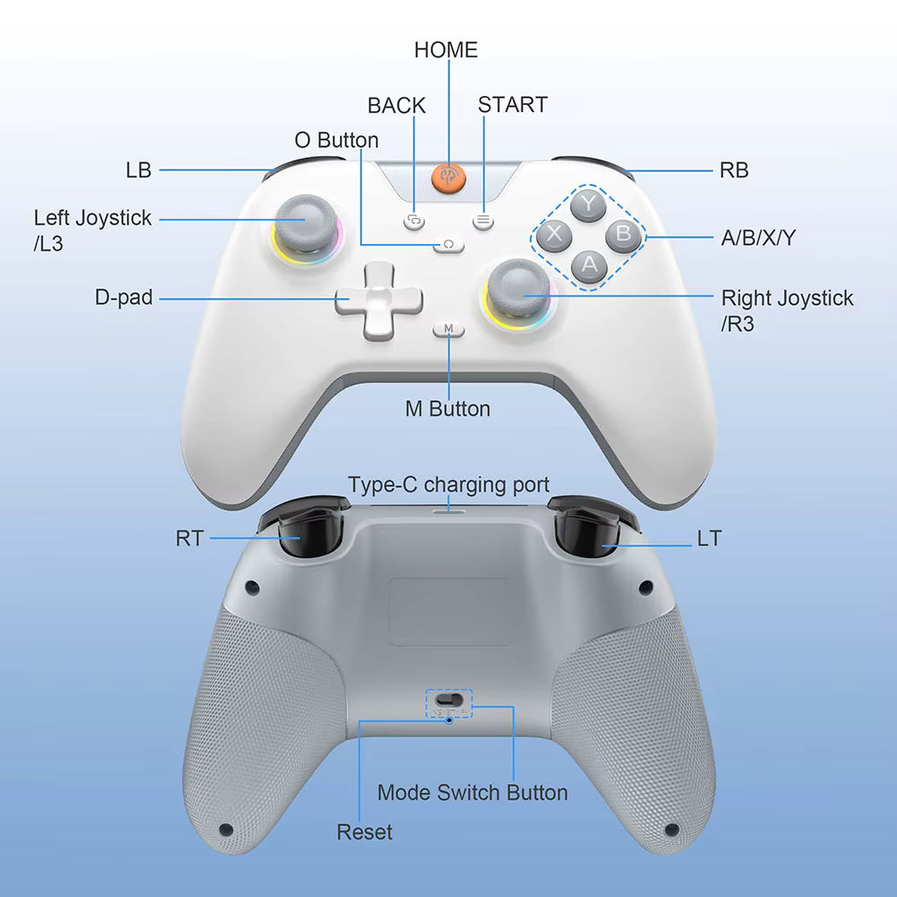 Front and back diagram of white controller with gray grips showing labeled buttons, triggers and Type‑C port.